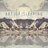 Art of Sleeping - Empty Hands - Single